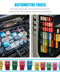 30 Piece Car Fuse Kit With Tall And Low Profile Fuses 2026 Release Wide Amperage Coverage From 20A To 60A in automotive panel