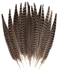 12 Pcs Natural Ringneck Pheasant Tail Feathers 14 To 16 Inch For Crafts Weddings Parties Performances And Home DIY Decor