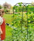 Person watering plants on Heavy Duty Garden Arch Trellis For Climbing Plants, 6.7Ft Tall Steel Arbor With Weatherproof, Rust Resistant Frame