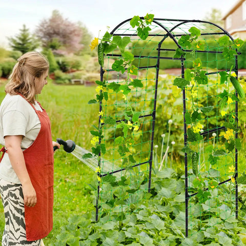 Person watering plants on Heavy Duty Garden Arch Trellis For Climbing Plants, 6.7Ft Tall Steel Arbor With Weatherproof, Rust Resistant Frame
