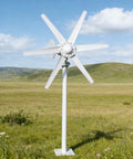 800W Wind Turbine Generator Kit 12V 24V With 6 Blade Turbine And MPPT Controller in an open field for off-grid power