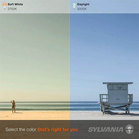 Comparison of TruWave Natural Series A19 LED Bulb 2700K soft white and 5000K daylight on a beach scene.