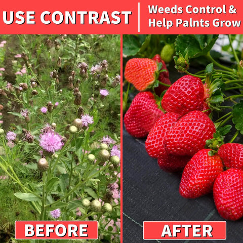 Before and after using Heavy Duty Weed Barrier Landscape Fabric 3Ft By 300Ft With Visual Planting Grid showing weed control and plant growth.