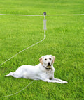 Heavy Duty Outdoor Dog Run Cable System With 75 Ft Tie Out And 10 Ft Runner Cable For Dogs Up To 125 Lbs installed on grass.