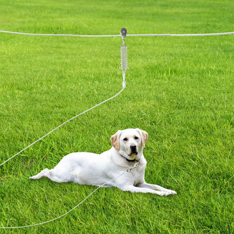 Heavy Duty Outdoor Dog Run Cable System With 75 Ft Tie Out And 10 Ft Runner Cable For Dogs Up To 125 Lbs installed on grass.