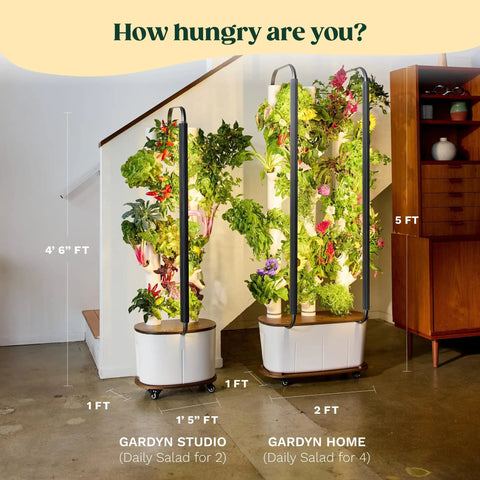Two vertical hydroponics garden systems with grow lights, displaying lush herbs and vegetables, suitable for indoor growing