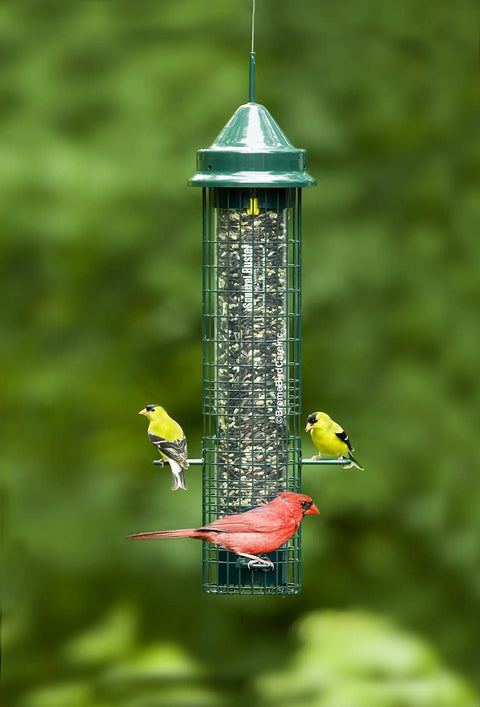 Classic Squirrel-Proof Bird Feeder With Four Feeding Ports And 2.4-Pound Seed Capacity, Weight-Activated Shield Keeps Seeds Safe