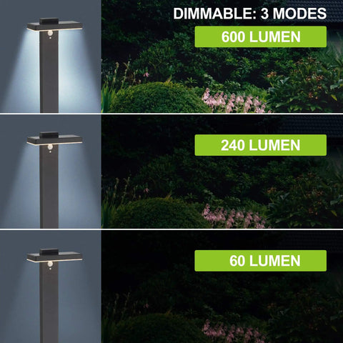 Solar Landscape Path Lights Outdoor Motion Sensor Garden LED Light Aluminum Waterproof 10 Hour Endurance Pathway Lights showing 3 modes