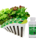 Heirloom Salad Greens Seed Pod Kit With Pre Seeded Pods, Liquid Plant Food, And Growing Guide for indoor gardening