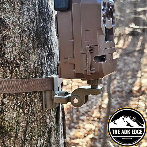 Universal Trail Camera Mount With Standard Camera Thread And 360 Degree Leveling Plus 180 Degree Tilt No Sweat Strap Rig attached to tree.