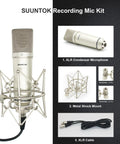 Professional XLR Condenser Microphone With 34mm Large Diaphragm Cardioid Pattern for Singing, Podcasting, YouTube, with metal shock mount and XLR cable, TM87KB Included, Sleek Silver Finish
