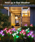 4 Pack Outdoor Solar Lights With Bigger Lily Flower Designs illuminated in garden, showcasing 7 color changing LEDs at night.