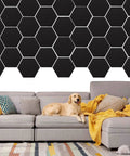 Heavy Duty Hexagon Acoustic Foam Panels For Home Studios And Offices Built Tough Soundproofing Tiles on wall near dog.