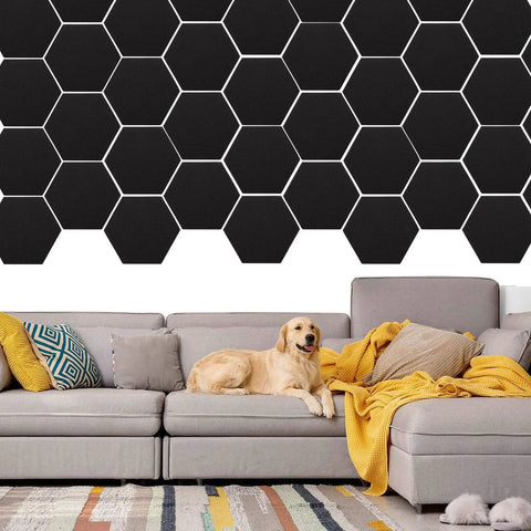 Solid Heavy Duty Hexagon Acoustic Foam Panels arranged on a wall, with a golden retriever lounging on a couch below.