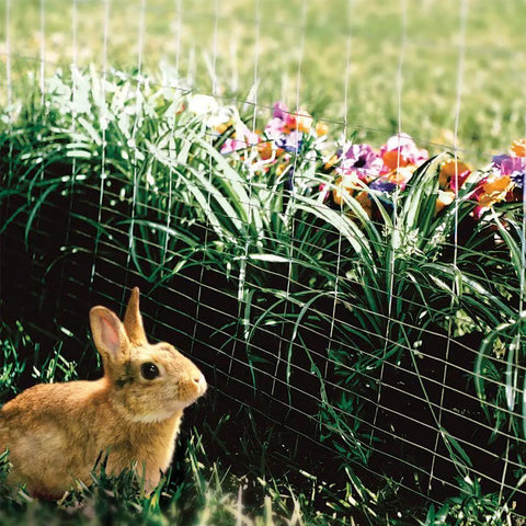 Rabbit near galvanized welded wire fence mesh 2x1 inch 24 inch tall by 100 foot roll heavy duty fence for yard or garden