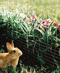 2 Inch By 4 Inch Mesh Welded Wire Fence Roll With 14 Gauge Heavy Duty Galvanized Steel For Animal Enclosures Garden Protection
