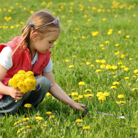 Child using 11.5 Inch Dandelion Weeder Puller Tool With Soft Grip Handle Stainless Steel Two Pronged Weeding Fork in field.