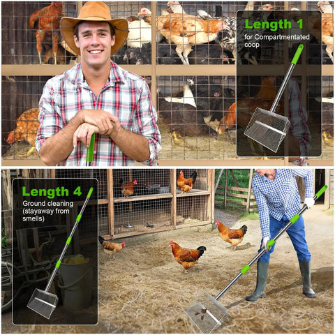 Farmer using Large Chicken Poop Scooper With Stainless Steel Handle, dual slot widths, for coop and ground cleaning, length 23 to 66 inches.