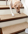 Dog walking on soft edging stair treads non slip carpet mat 28 by 9 inch indoor stair runner for wooden steps beige 15 pack with TPE backing safe for kids and pets that stays put on dry floors.
