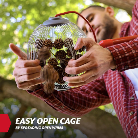 Person demonstrating the open cage feature of the Back Saving Nut Gatherer Roller For Pecans Hickory Nuts Golf Balls And More Yard Picker Upper With Durable Steel Cage And Ergonomic Handle No Bending Needed Easy Roll Action Newest Model.