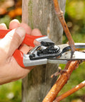 Using 8.3 Inch Pruning Shears With Aluminum Handles, Precision Bypass Blade on branch