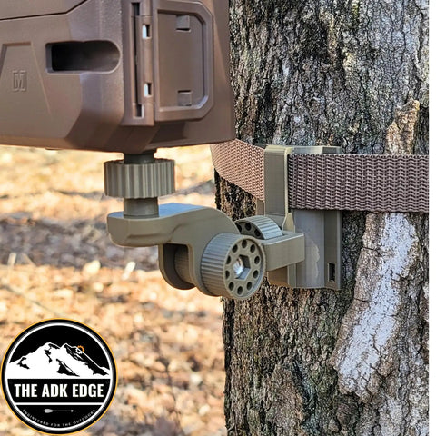 Universal Trail Camera Mount With Standard Camera Thread And 360 Degree Leveling Plus 180 Degree Tilt No Sweat Strap Rig For Tough Hunts And Wildlife Photography Outdoors Gear mounted on a tree.