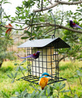 Outdoor Suet Feeder Hanging Cage Weatherproof Metal Suet Holder Squirrel Proof Bird Feeder For Wild Birds And Woodpeckers Single Suet Cage
