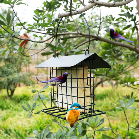 Outdoor Suet Feeder Hanging Cage Weatherproof Metal Suet Holder Squirrel Proof Bird Feeder For Wild Birds And Woodpeckers Single Suet Cage