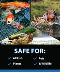 Collage showing fish, dog, duck; promoting MuckOff Pond Muck Treatment For Water Gardens And Bird Baths With Natural Bacteria And Enzymes