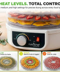 Slick Electric Countertop Food Dehydrator With Five Stackable Trays showing sliced fruits and herbs, with adjustable heat settings.