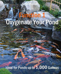 Colorful fish swimming in a pond with waterfall, promoting the All In One Pond Aerator Kit For Outdoor Ponds Up To 1000 Gallons.