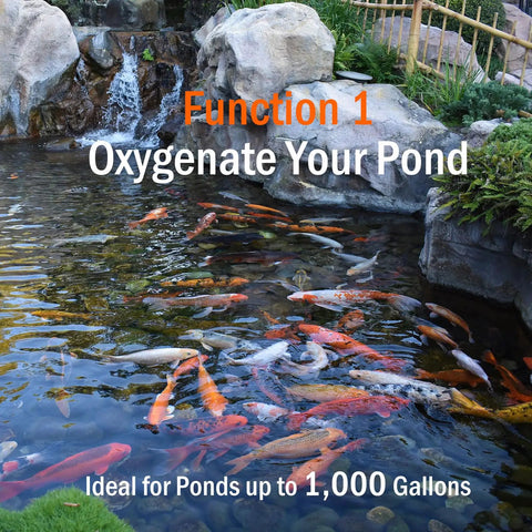 Colorful fish swimming in a pond with waterfall, promoting the All In One Pond Aerator Kit For Outdoor Ponds Up To 1000 Gallons.