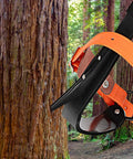 Go To Tree Climbing Spikes Set With Alloy Steel Climbing Spurs One Pair 350 Lbs Load Capacity next to tree