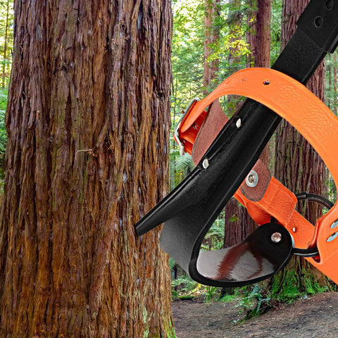 Go To Tree Climbing Spikes Set With Alloy Steel Climbing Spurs One Pair 350 Lbs Load Capacity next to tree