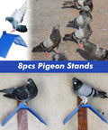 Pigeon Nesting Kit With 4 Nest Bowls, 4 Coconut Palm Mat Nest Box Pads And 8 Grid Nesting Stands For Racing Pigeons, Doves