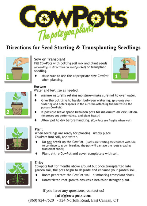 Instructions for using CowPots for seed starting, showcases 102 Square 4 Inch Seedling Pots Brown 12 Pack Root Friendly Plantable Pots.