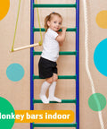 Child climbing indoor monkey bars ladder with colorful rungs, ropes, and handle for playtime fun.