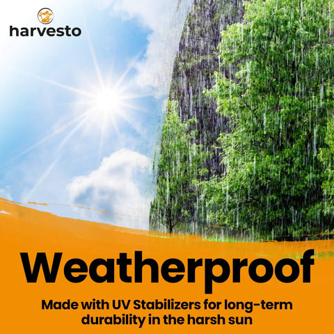 Heavy Duty Bird Netting For Chicken Coops And Runs 50 By 50 Feet With 2.2 By 2.2 Inch Mesh Keeps Hawks, Raccoons, Foxes, And Other Birds Out, No Fuss Easy Tangle Free Install, Durable Outdoor Shield For Chicks, showcasing weatherproof UV protection against sun and rain.
