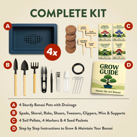 All In One Bonsai Starter Kit For Plant Lovers Grow Four Bonsai Trees At Home With Four Pots Soil Pellets and Full Tool Set Display