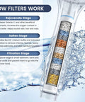 Cross-sectional view of filtered shower head demonstrating water filtration stages, showing internal filter media for hard water treatment.