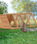 Outdoor A Frame Rabbit Hutch And Small Animal Coop With Two Door Run Cage in a grassy field with rabbit