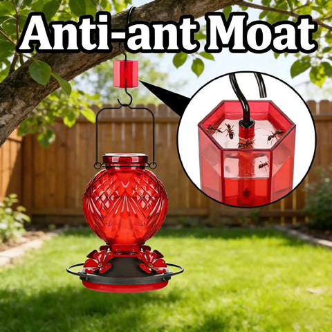 Glass Hummingbird Feeder 20oz Hanging Outdoor Bird Nectar Feeder With Four Bee Guard Flower Ports Built In Ant Moat Leak Proof Easy To Clean Decor For Garden Patio Bird Lovers