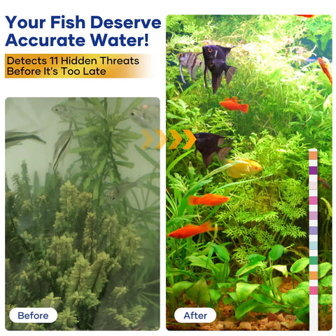 Before and after aquarium water quality comparison showing healthy fish and plants with Complete Aquarium Water Test Strips Kit.