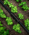 21 Piece Half Inch Drip Irrigation Fittings Kit With Anti Leak Lock Nut Barbed Connectors For Garden Drip System in soil