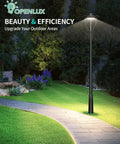 LED Post Top Light 60W 48W 36W Adjustable Outdoor Pole Light illuminating garden path at night