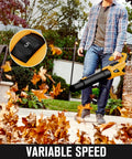 Cordless Leaf Blower 21V Lightweight Yet Powerful Electric Blower With Two 4Ah Batteries And Fast Charger in use outdoors