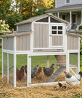 Large Chicken Coop With Four Nesting Boxes For Four To Six Hens Outdoor Wooden Poultry Cage With Pull Out Tray