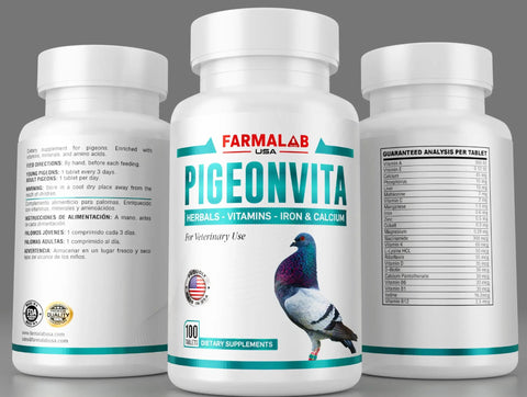 Front view of bottle with label for Pigeon Vitamin Supplement With B12 And B15 For Energy Boost And Endurance, 100 Tablets