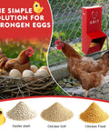 Heavy Duty Metal Chicken Feeder 2 Pack With Tight Lid Automatic Gravity Trough for oyster shell, grit, and food.