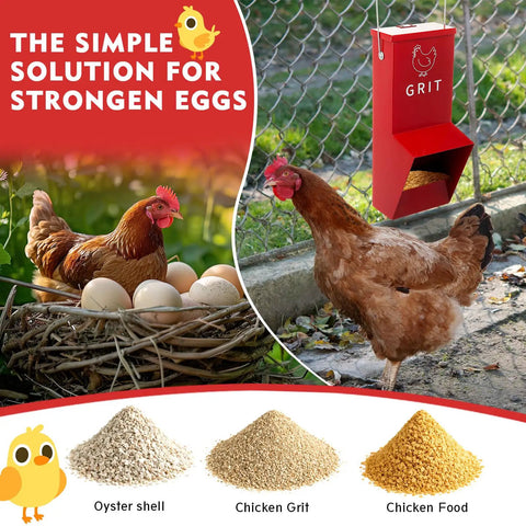 Heavy Duty Metal Chicken Feeder 2 Pack With Tight Lid Automatic Gravity Trough for oyster shell, grit, and food.